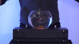 ULTIMATE BOWLING BALL FROM BRIEFCASE by Richard Griffin (Gimmick Not Included)