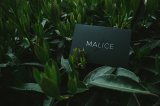 Malice by Lost Art Magic