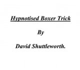 Hypnotised Boxer Trick by David Shuttleworth