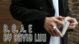 Blink Of An Eye by David Luu video (Download)