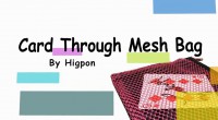 Card Through Mesh Bag by Higpon - Click Image to Close